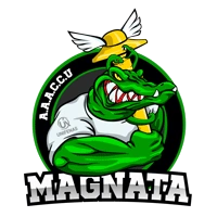 ASSOCIAÇÃO ATLÉTICA ACADÊMICA DE CIÊNCIAS CONTÁBEIS