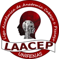 LIGA ACADÊMICA DE ANATOMIA DE CABEÇA E PESCOÇO – LAACEP