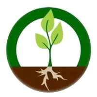 NÚCLEO DE ESTUDOS EM OLERICULTURA